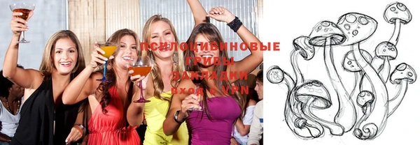 а пвп мука Баксан