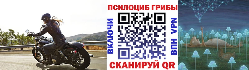 Псилоцибиновые грибы Magic Shrooms  Темников 